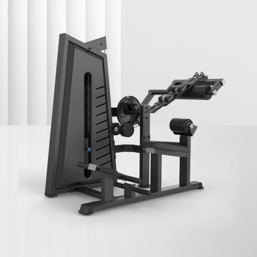 ALIRON Abdominal / Back Extension
