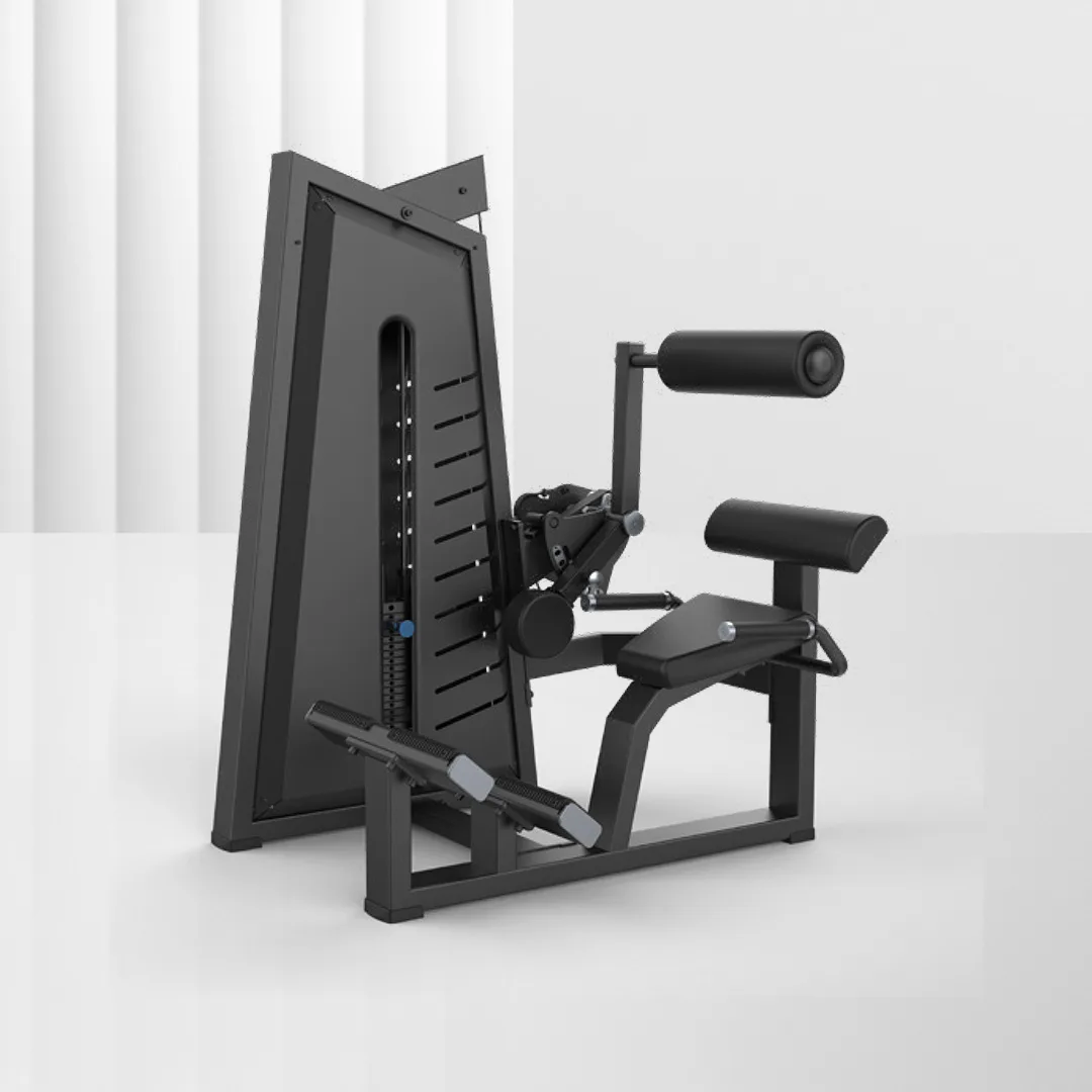ALIRON Back Extension