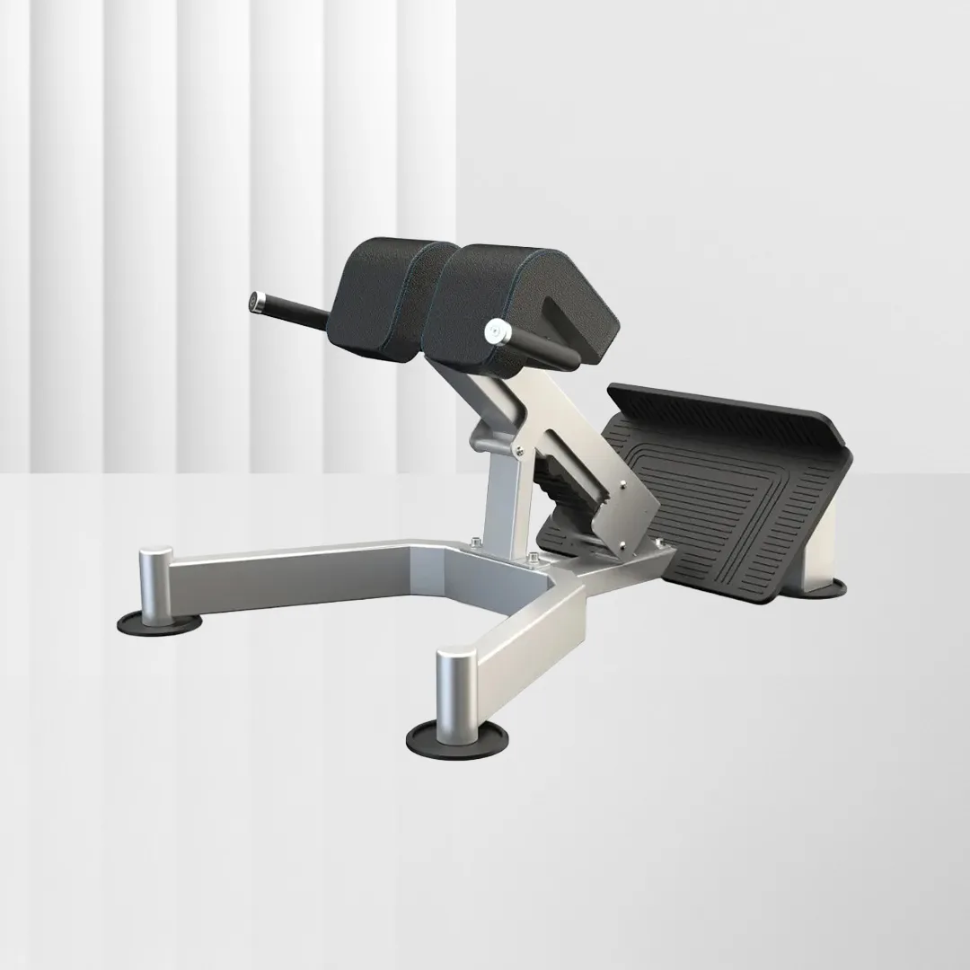 ALIRON Back Extension