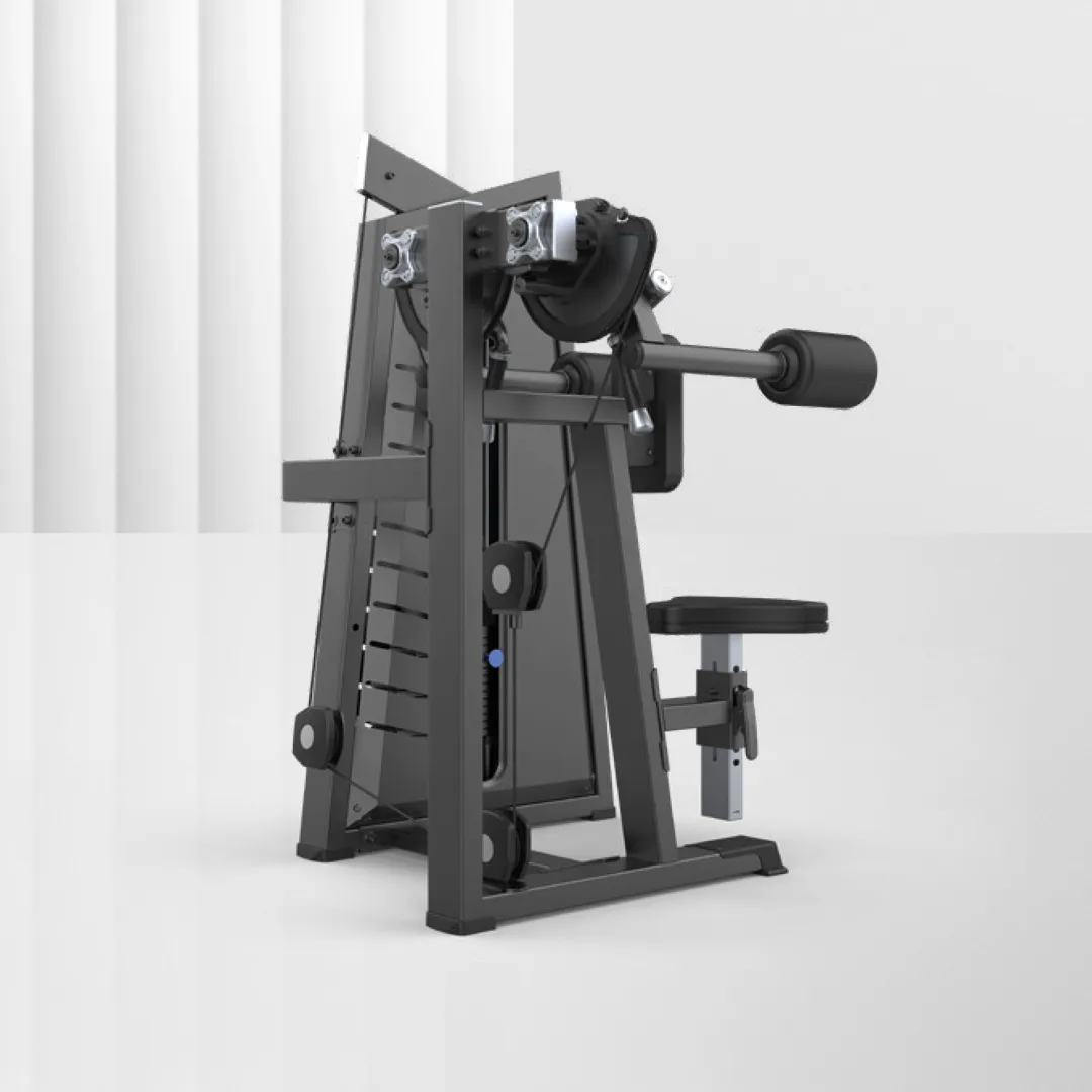 ALIRON Lateral Raise