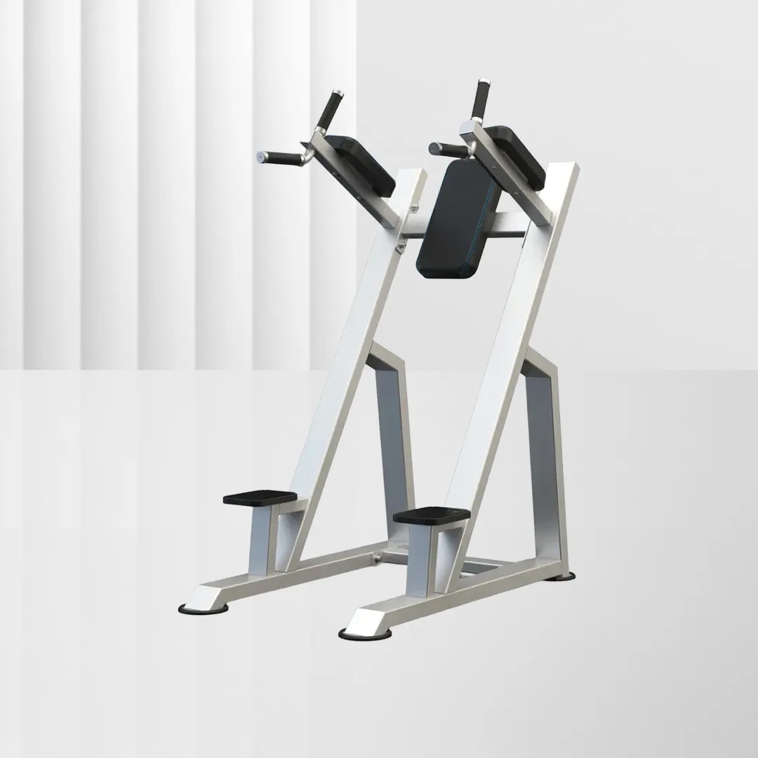 ALIRON Vertical Knee Up / Dip