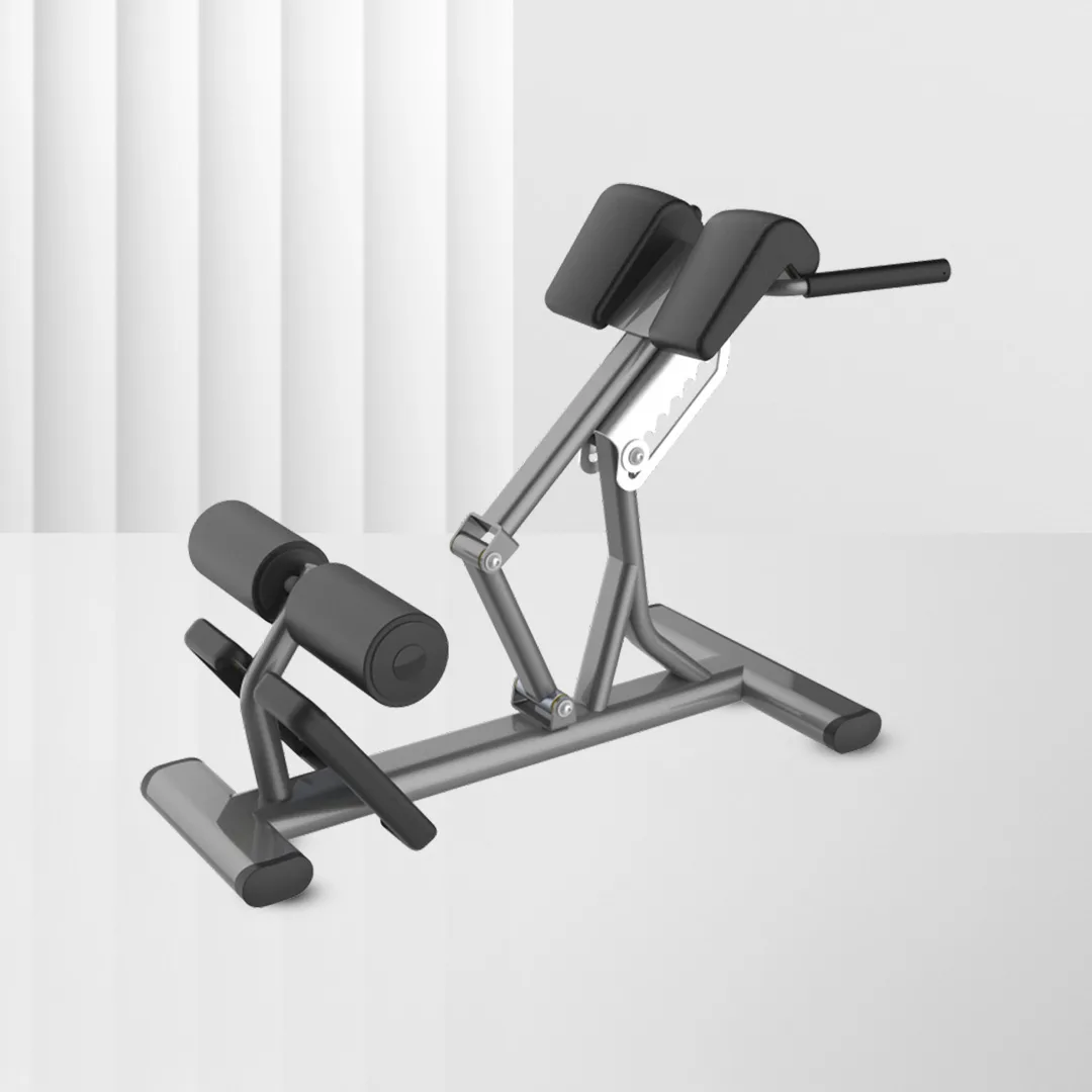 Lower Back Bench