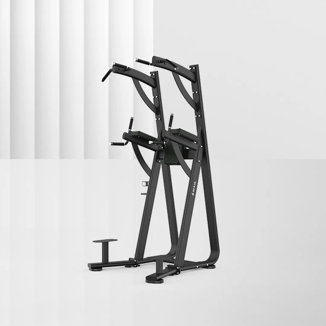 SHUA Chin Dip Leg Raise Station