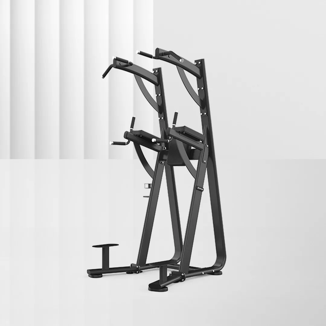 SHUA Chin Dip Leg Raise Station