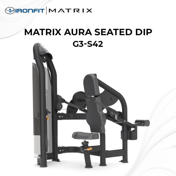 Seated Dip Matrix Aura G3-42