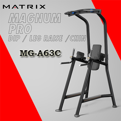 Dip/Chin Matrix Magnum VKR MG-A63C