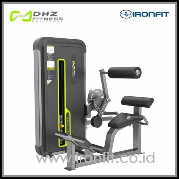 Back Extension Machine DHZ FITNESS - A3031